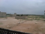 IMG00209-20090915-0321.jpg